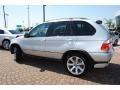 Titanium Silver Metallic - X5 4.8is Photo No. 3