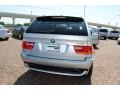 Titanium Silver Metallic - X5 4.8is Photo No. 4
