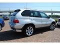 Titanium Silver Metallic - X5 4.8is Photo No. 5