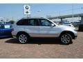 Titanium Silver Metallic - X5 4.8is Photo No. 6