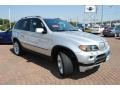 Titanium Silver Metallic - X5 4.8is Photo No. 7