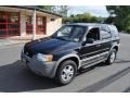 2002 Black Clearcoat Ford Escape XLT V6 4WD  photo #12