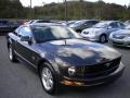 2009 Alloy Metallic Ford Mustang V6 Coupe  photo #1
