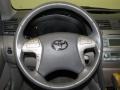 Titanium Metallic - Camry XLE V6 Photo No. 9