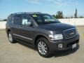 2008 Silver Graphite Gray Infiniti QX 56 4WD  photo #1