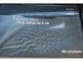 Radiant Silver - Sonata GLS Photo No. 4