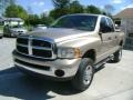 Light Almond Pearl Metallic - Ram 2500 ST Quad Cab 4x4 Photo No. 3