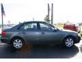 Willow Gray - Sonata GLS Photo No. 9