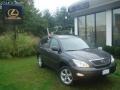 Flint Mica - RX 350 AWD Photo No. 1