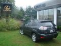 Flint Mica - RX 350 AWD Photo No. 2