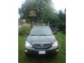 Flint Mica - RX 350 AWD Photo No. 10