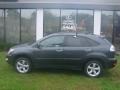Flint Mica - RX 350 AWD Photo No. 14