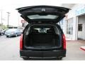 Black Raven - SRX V6 Photo No. 7