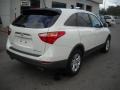 2008 Stone White Hyundai Veracruz SE  photo #2