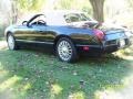 Evening Black - Thunderbird Deluxe Roadster Photo No. 3