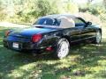 Evening Black - Thunderbird Deluxe Roadster Photo No. 5