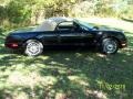 Evening Black - Thunderbird Deluxe Roadster Photo No. 6