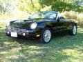 Evening Black - Thunderbird Deluxe Roadster Photo No. 9
