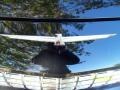 Evening Black - Thunderbird Deluxe Roadster Photo No. 20