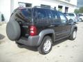 Black Clearcoat - Liberty Sport 4x4 Photo No. 2