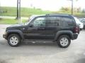 Black Clearcoat - Liberty Sport 4x4 Photo No. 5
