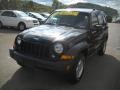 Black Clearcoat - Liberty Sport 4x4 Photo No. 18