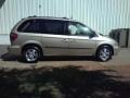 Linen Gold Metallic - Caravan SXT Photo No. 17