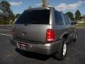 2001 Bright Platinum Metallic Dodge Durango SLT 4x4  photo #3