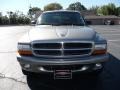 2001 Bright Platinum Metallic Dodge Durango SLT 4x4  photo #7