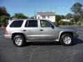 2001 Bright Platinum Metallic Dodge Durango SLT 4x4  photo #10