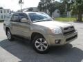 Driftwood Pearl - 4Runner Limited 4x4 Photo No. 5