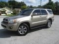 2006 Driftwood Pearl Toyota 4Runner Limited 4x4  photo #6