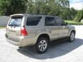 Driftwood Pearl - 4Runner Limited 4x4 Photo No. 12