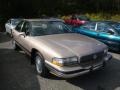 Campagne Beige Metallic 1994 Buick LeSabre Custom