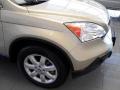 2009 Borrego Beige Metallic Honda CR-V EX-L 4WD  photo #8