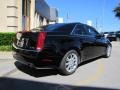 Black Raven - CTS Sedan Photo No. 6