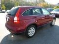 2008 Tango Red Pearl Honda CR-V EX-L 4WD  photo #4