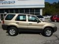 2007 Dune Pearl Metallic Ford Escape XLS  photo #7