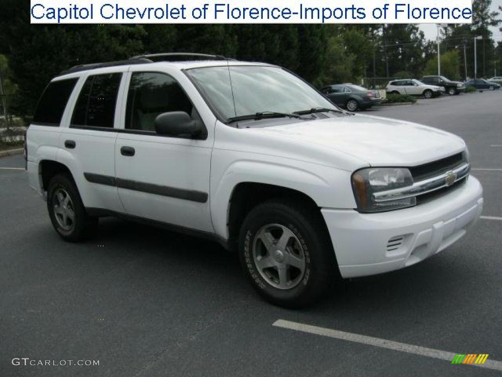 2005 TrailBlazer LS - Summit White / Light Gray photo #1