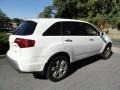 Aspen White Pearl - MDX Technology Photo No. 4