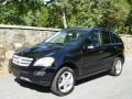 Black - ML 350 4Matic Photo No. 2