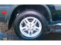 Flamenco Black Pearl - CR-V EX 4WD Photo No. 10