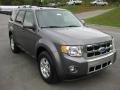 Sterling Grey Metallic - Escape Limited V6 4WD Photo No. 4