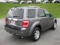 Sterling Grey Metallic - Escape Limited V6 4WD Photo No. 6