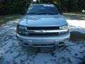 Silverstone Metallic - TrailBlazer LS Photo No. 10