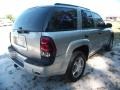 Silverstone Metallic - TrailBlazer LS Photo No. 11