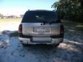 Silverstone Metallic - TrailBlazer LS Photo No. 12