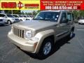 Light Graystone Pearl 2010 Jeep Liberty Sport