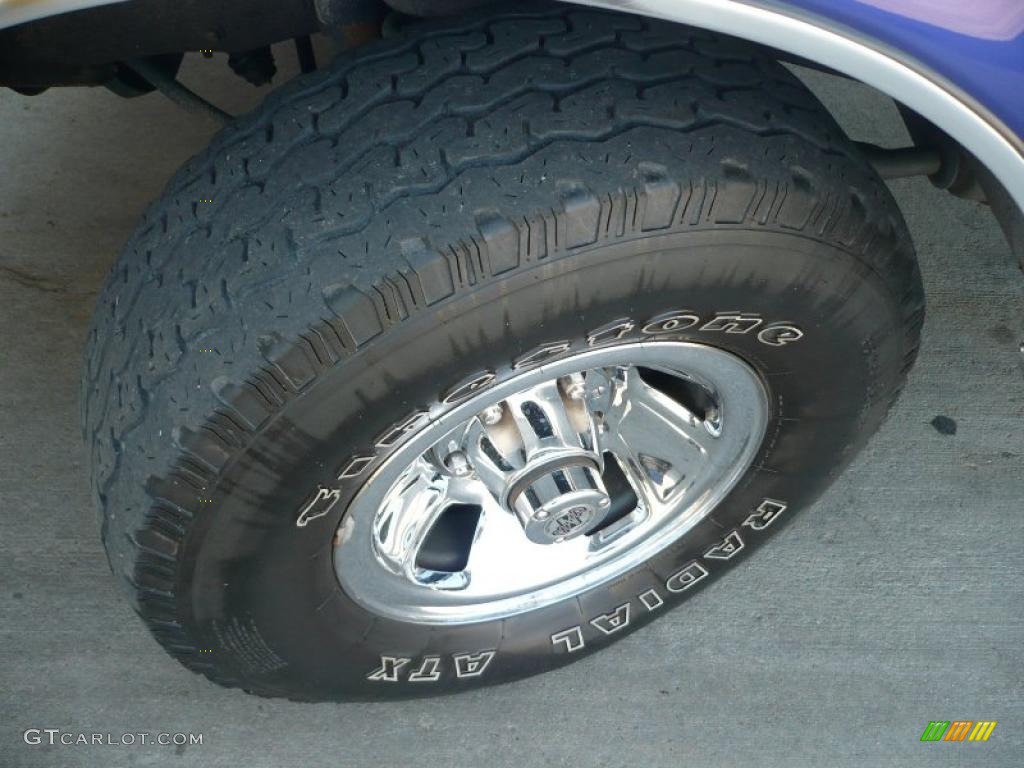 1995 F150 XLT Regular Cab 4x4 - Bright Sapphire Pearl Metallic / Gray photo #14
