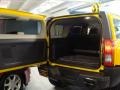 Yellow - H3  Photo No. 23
